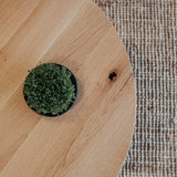 Oak coffee table Herum.
